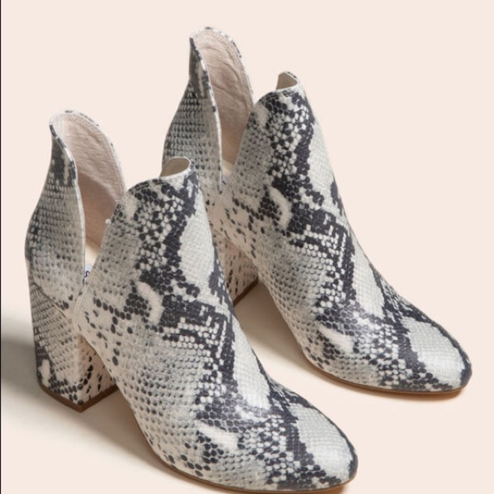 NWT Steve Madden snakeskin boots